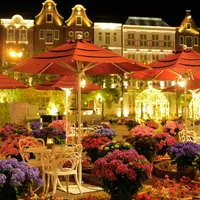 あじさいのライトアップ イメージ