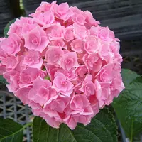 ハウステンボス イメージ