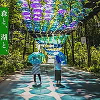 森と、湖と、アンブレラと。 イメージ