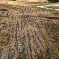 ※CG映像イメージ（画像は製作段階の映像です。）