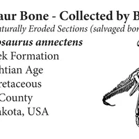 保証書 イメージ