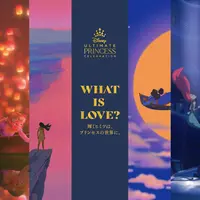 WHAT IS LOVE？ ～輝くヒミツは、プリンセスの世界に。～ イメージ 