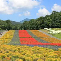 たんばらラベンダーパーク イメージ