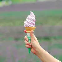 ラベンダーグルメ イメージ