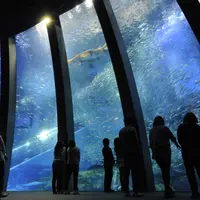 サカナや海の幸の特別展示 イメージ
