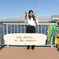 サカナ釣り イメージ