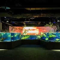 パンタナルエリア イメージ