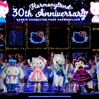 30th Anniversary Night Party