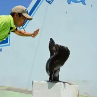 ルルのトレーニング風景 イメージ