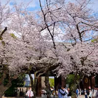 桜の時期の靖國神社