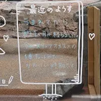 「ペンギンの赤ちゃん成長日誌」イメージ