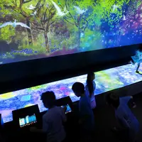 teamLab, 2015-, Interactive Digital Installation, Sound: teamLab