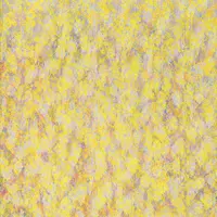 高橋尚愛《無題》1966 年 国立国際美術館蔵