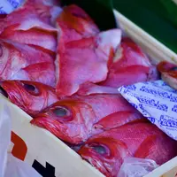 食材2
