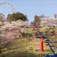 リフトから愛でる“空飛ぶ花見”（写真は過去のイメージ）