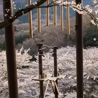 空中アスレチック「天狗道場」