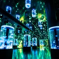 「Jelly Ramble」期間限定演出※イメージ