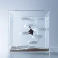 カメ(カブトニオイガメ)の水槽