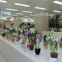 昨年の様子