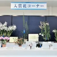 昨年の入賞花
