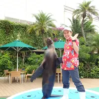 アシカパフォーマンス