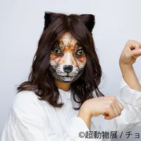 展示作品2