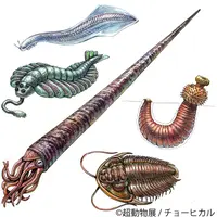 展示作品8