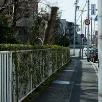 （C）Yuki Moriya