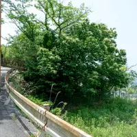 （C）Yuki Moriya