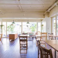 木を基調とした開放感溢れる店内