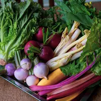 新鮮な国分寺野菜をふんだんに使用したメニューをご用意