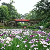 小田原城本丸東堀・花菖蒲園