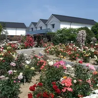 バラまつり開催中のバラ園（中央建物はグンゼ博物苑）