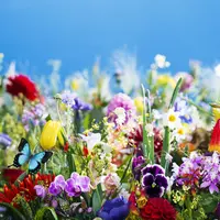 earthly flowers, heavenly colors (2017)　©mika ninagawa,courtesy of Tomio koyama Galley