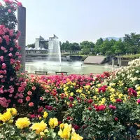 バラ園