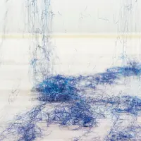 《untitled –rain DDR–》（部分）2014年　素材：傘  Installation view : Arts Maebashi, Gunma Photo by Shinya KIGURE