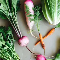 Microbe-Natural Farmers