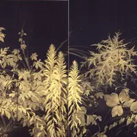 川端龍子《草炎》1930年　（展示期間：7月31日 〜 9月24日）