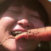 野菜は会場でチョップサラダにして食べることもできる。