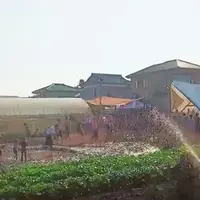 農園有機野菜はその場で収穫して食べられます。