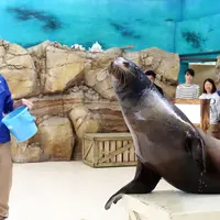 鳥羽水族館　ヒレアシ特別バックヤードツアー