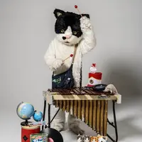 むぎ(猫)〔むぎかっこねこ〕