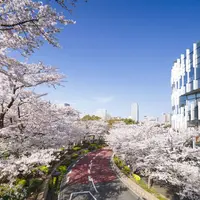 過去の様子