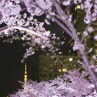 過去の様子