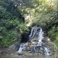 粟又ノ滝の写真・動画_image_100022