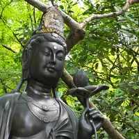 今熊野観音寺の写真・動画_image_10016