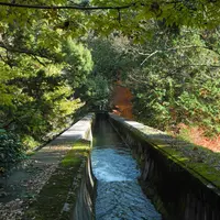 南禅寺の写真・動画_image_10042