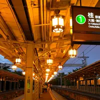 嵐山公園の写真・動画_image_10051