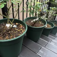 Club ESTAの写真・動画_image_10075