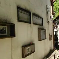 杖立温泉の写真・動画_image_101492